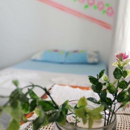 Jeri Bahia Hostel Jijoca de Jericoacoara Eksteriør bilde